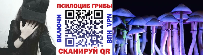 закладка Лыткарино Галлюциногенные грибы мицелий
